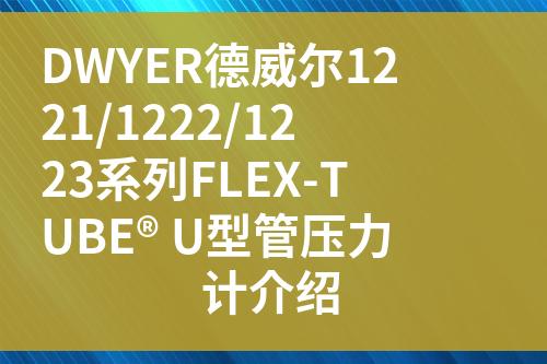 ${自定義變量_標題}