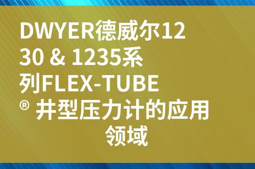 ${自定義變量_標(biāo)題}