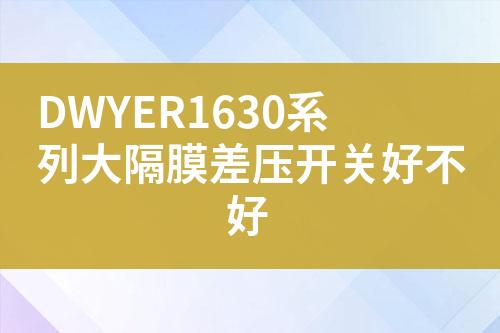 ${自定義變量_標題}