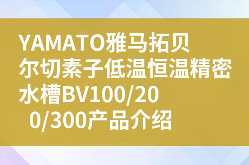 ${自定義變量_問題}