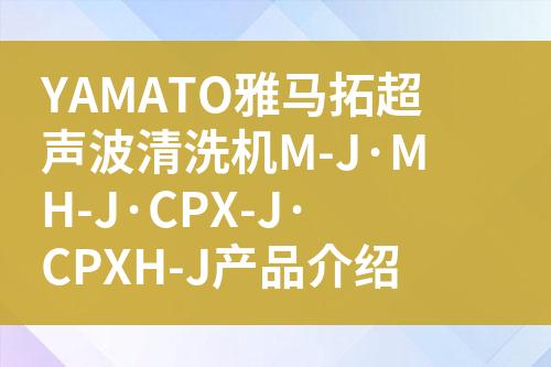 ${自定義變量_問題}