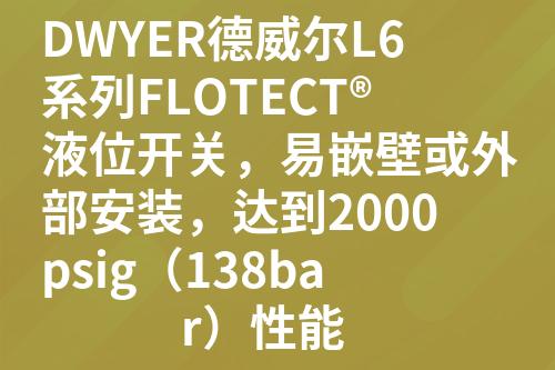 ${自定義變量_標(biāo)題}