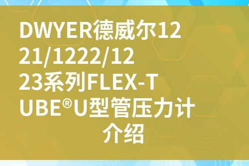 ${自定義變量_標(biāo)題}