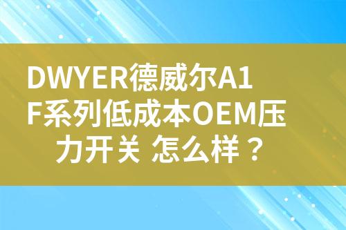 ${自定義變量_標題}