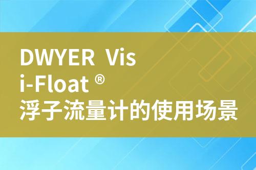 ${自定義變量_標(biāo)題}