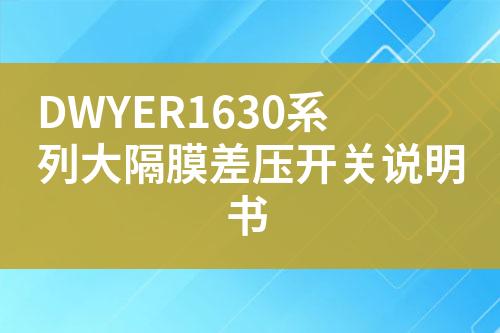 ${自定義變量_標題}