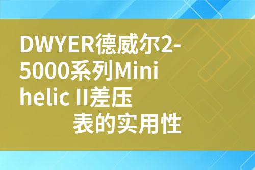 ${自定義變量_標(biāo)題}