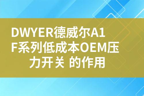 ${自定義變量_標(biāo)題}