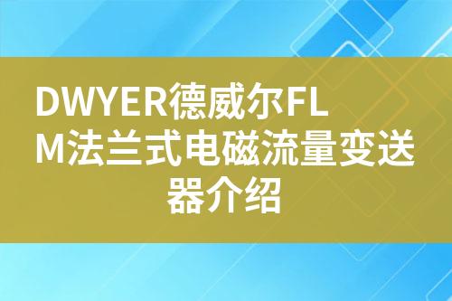 ${自定義變量_標題}